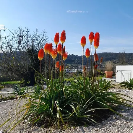 Bb Silvercoast Casa Flores Bed & Breakfast 4*