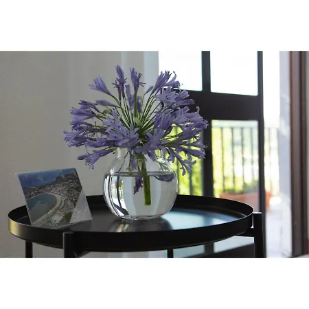 Bb Silvercoast Casa Flores Santa Catarina (Leiria)