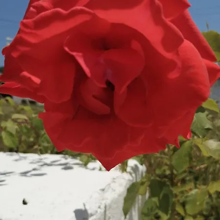 Bb Silvercoast Casa Flores Santa Catarina (Leiria)