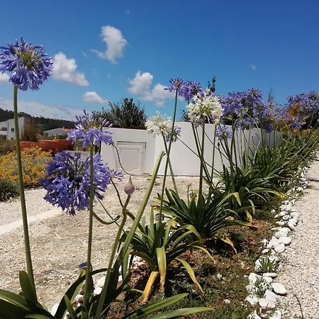 Bb Silvercoast Casa Flores