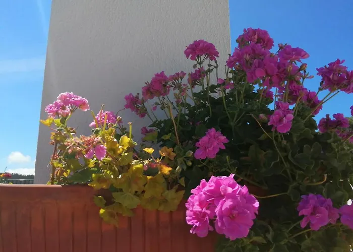 Bb Silvercoast Casa Flores 4*